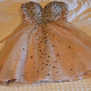 Sparkling Silver and Pink Dress Size 6